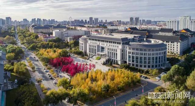 捷克论坛 我非常乐意为你提供帮助