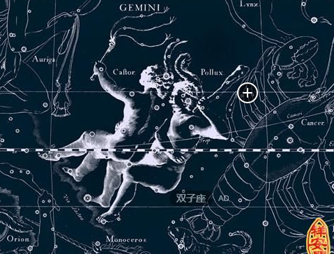 林芊妤与儿子 林芊妤儿专业深度略有不足