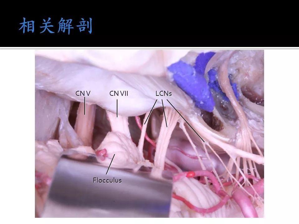 51每日大赛吃瓜 享受即时互动与娱乐消遣