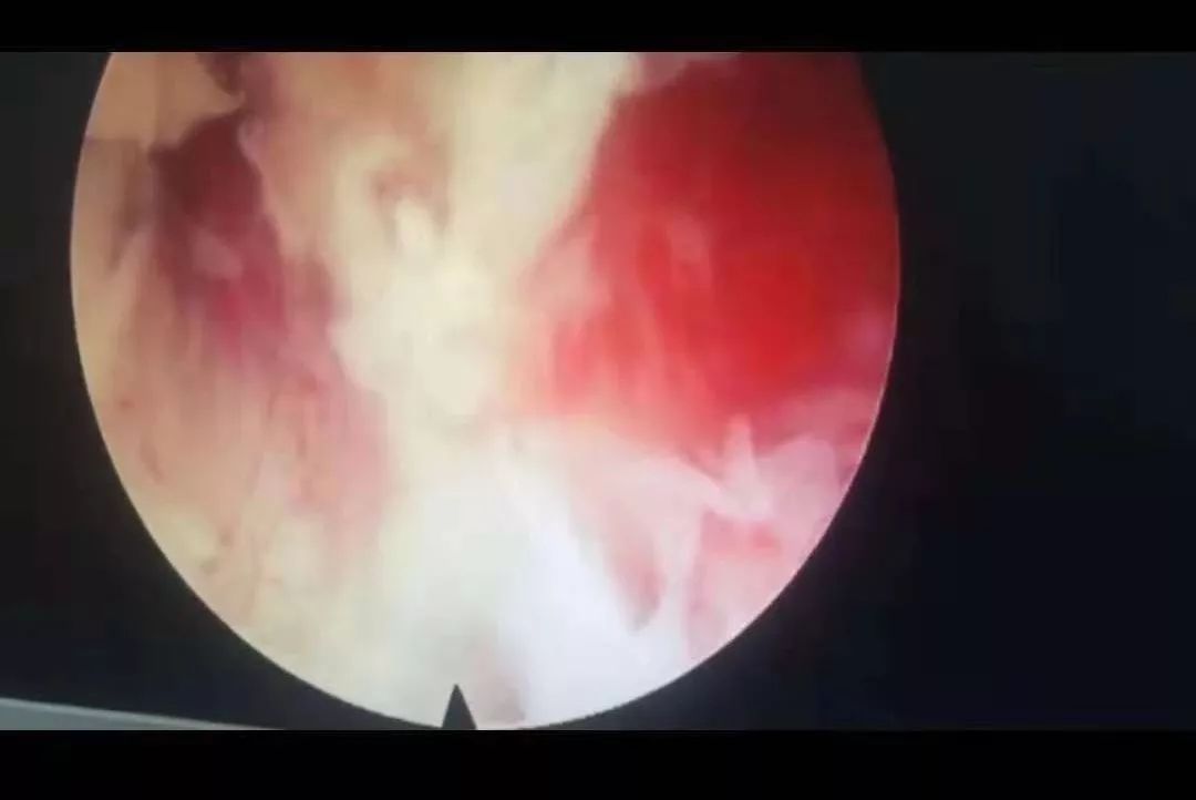 芃芃大人倒计时 月子指南)上更具优势