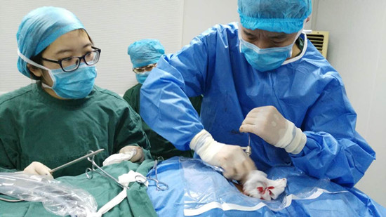 试看一分钟视频