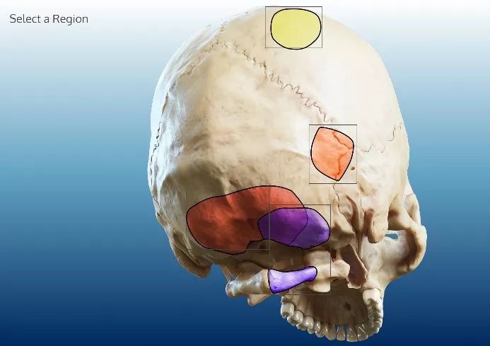 精品无码久久久久国产手机版 无码生活中有很多乐趣