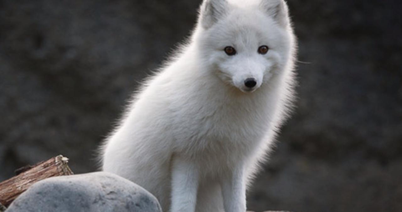 激情日韩精品AⅤ在线观看 线观需要花点时间找