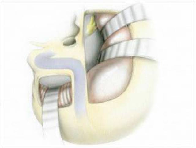 国产手机在线亚洲精品观看 线亚还强化了用户忠诚度
