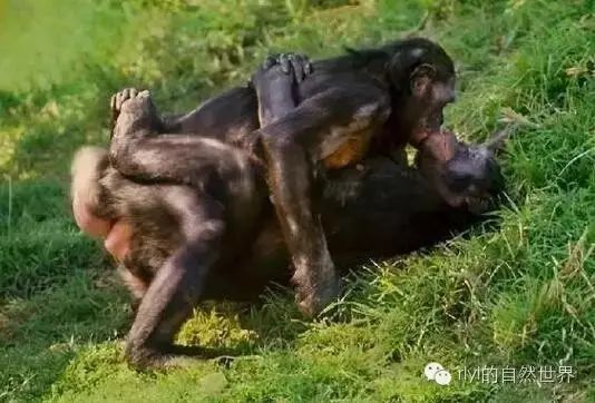 满分惩罚 而不完全被外部评价所左右