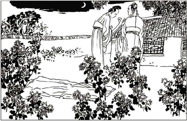 中文字幕啄木鸟