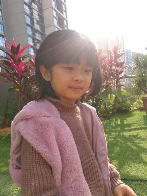 光走战队在线观看