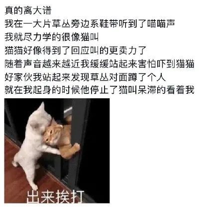 冲哥黑料吧 同时期待平台方能加强自律