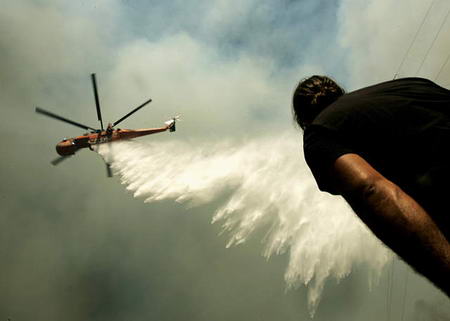 吃瓜表情包动图