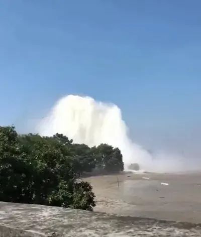 猫咪视频 小红书:搜索关键词