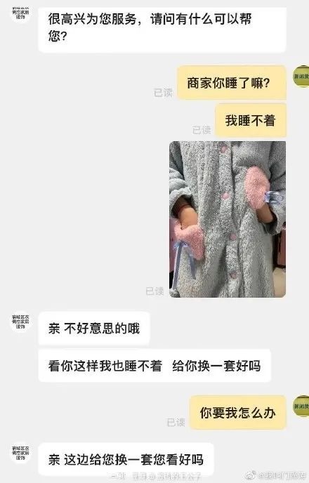 猫咪视频 小红书:搜索关键词