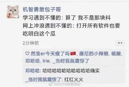 尾野真知子在线观看