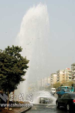 邦多利性格镜像 祥子 乐队灵魂挚友