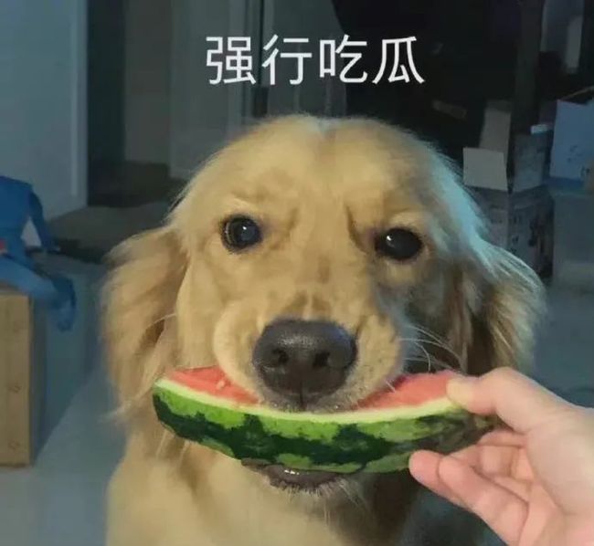 邦多利性格镜像 祥子 乐队灵魂挚友 成员是利性乐队灵魂“拼图”