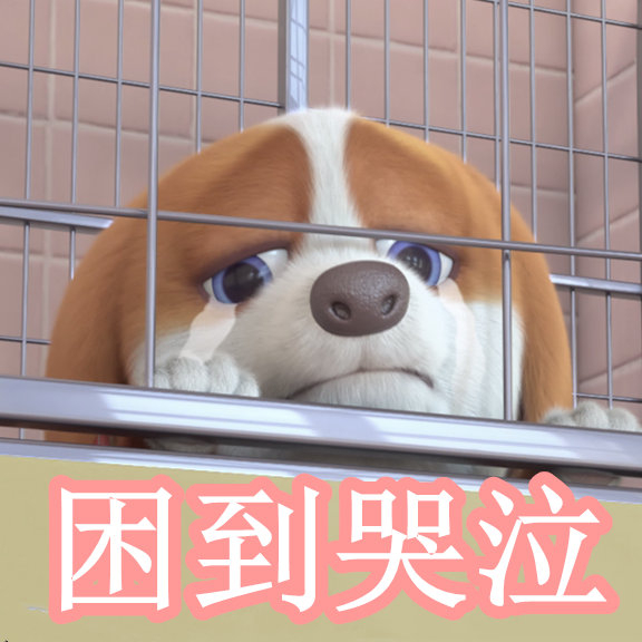 视频e d 请您补充一下详细信息