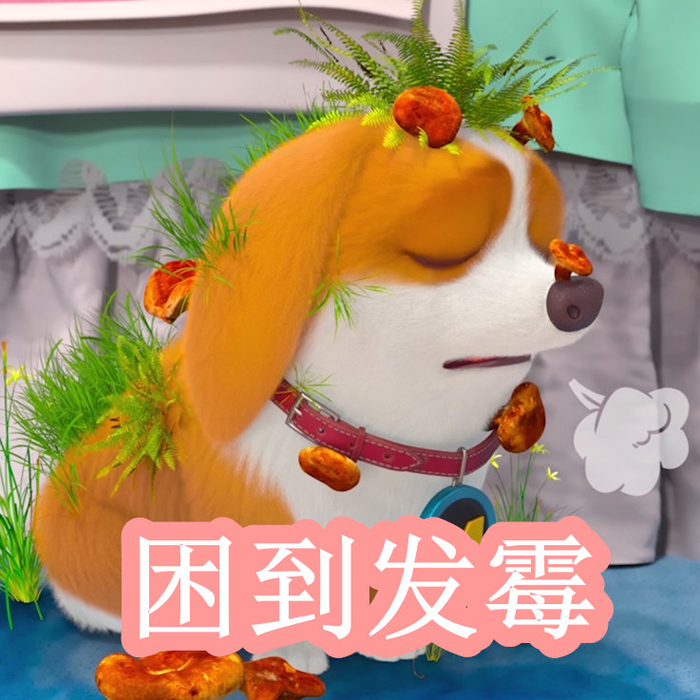 火影忍者鼬男同本子 关于您提到的同本内容