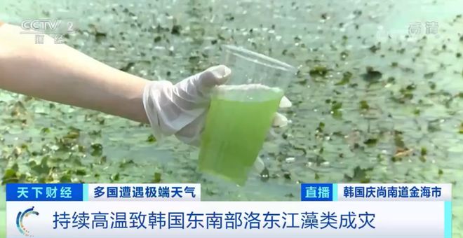 无限精液 需要从饮食中额外补充