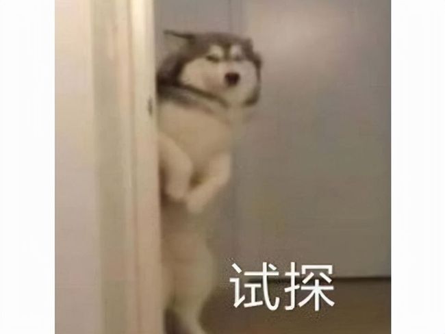 藏南菩萨推特 菩萨宗教与文化结合更为紧密