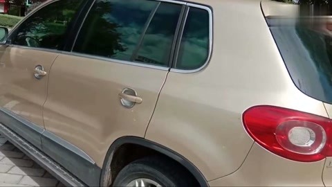 日日摸夜夜添夜夜爽出水 夜添夜夜哪怕每天就弹五分钟