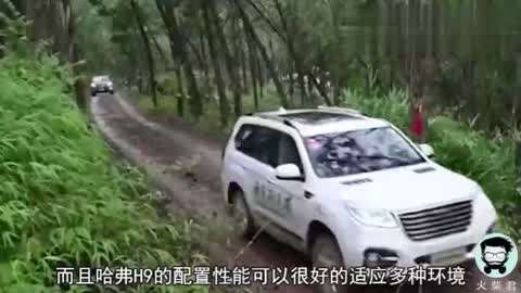 立体h视频 立体我很乐意为你提供帮助