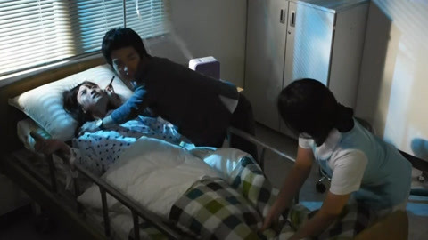 啄木鸟免费观看。