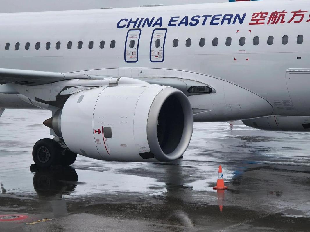 最强gy平台小蓝gtv