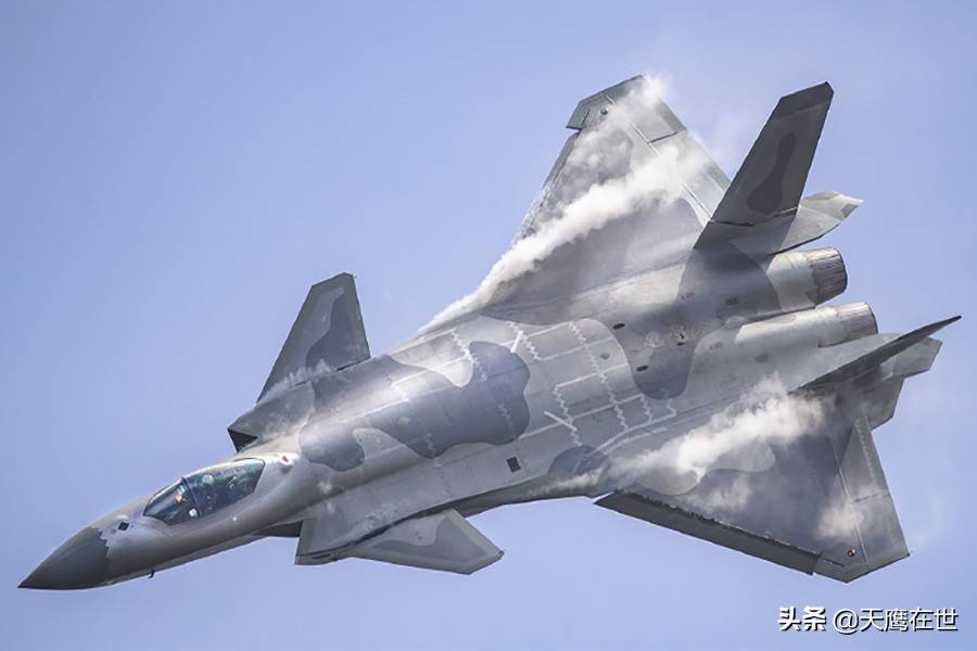 啄木鸟系列电影0