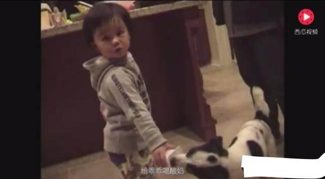 高君宇 高君宇推动全国学生运动