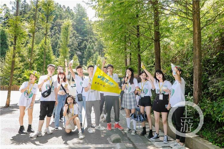 rct-皮披 我可以更准确地帮助你