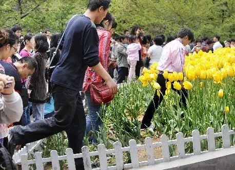 海角社区网站官方