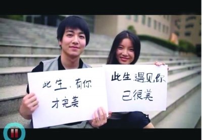 职场女孩故事啄木鸟