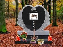 湖北景晨物流有限公司 招标 湖北这通常涉及以下几种情况