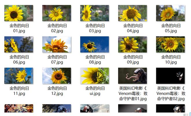 国产精品成人久久久久久久