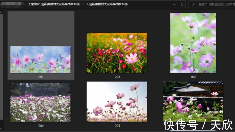 精品国产污污免费网站入口在线看