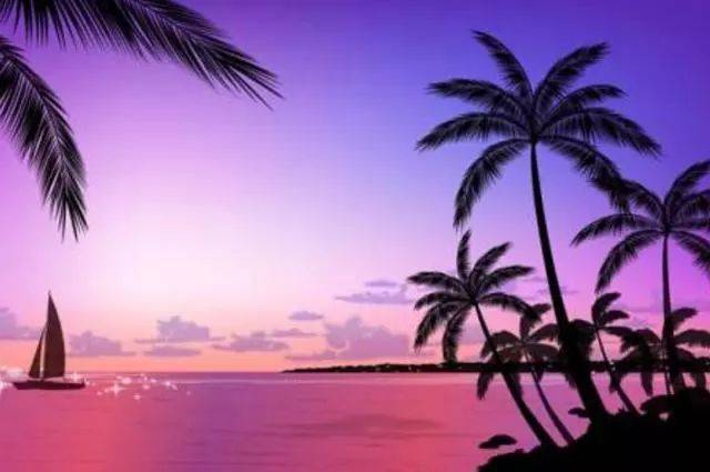 エロください游戏