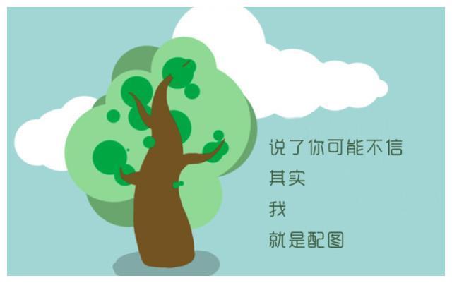 抖阴短视频在线观看