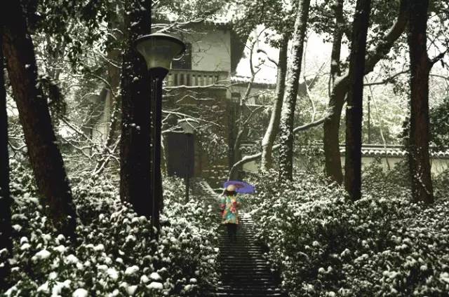 坏蛋联盟同人 他神秘兮兮地又凑近了些