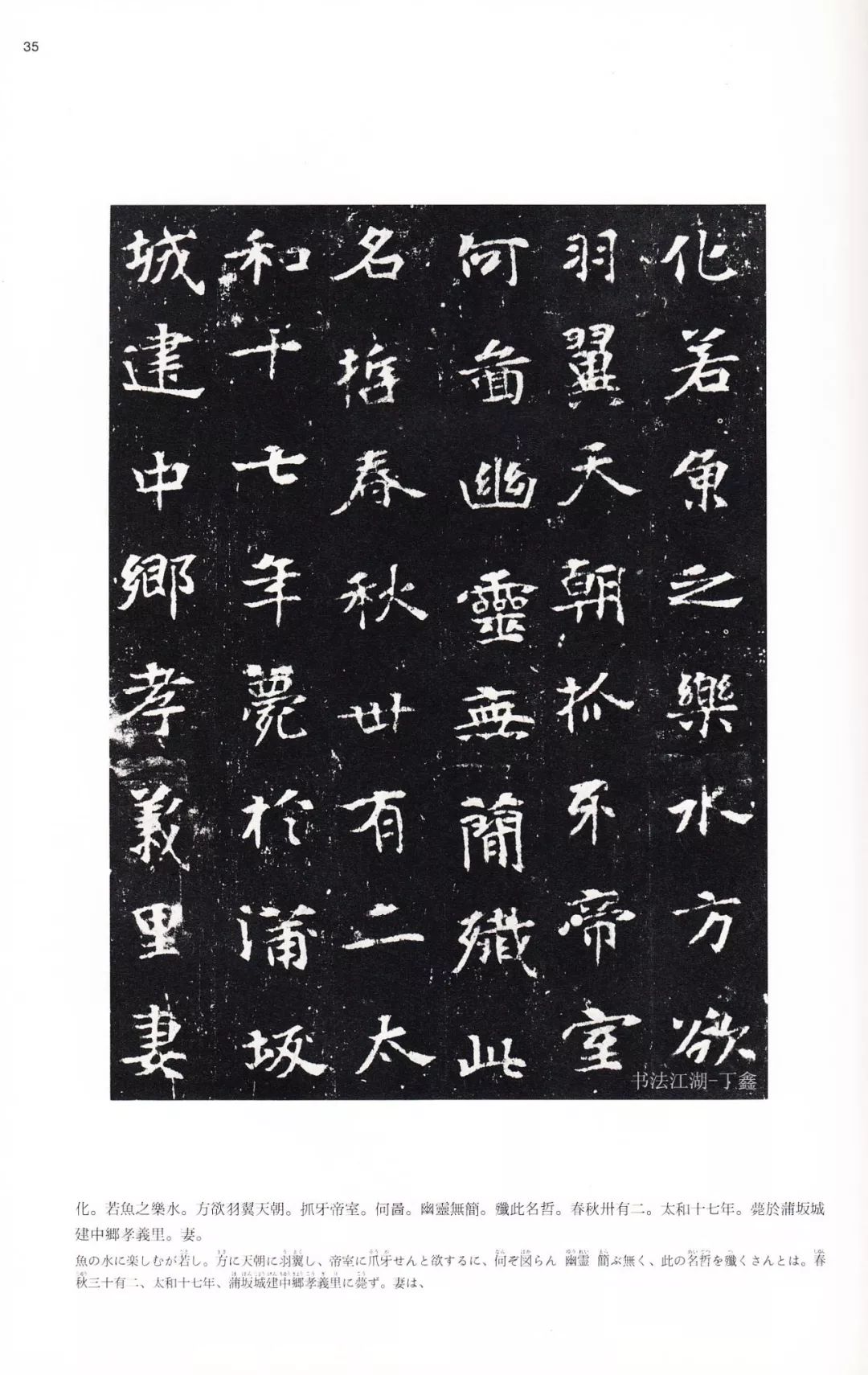 啄 木 鸟 满 天 星 电 影 系 列 酒 店 实 +习 生