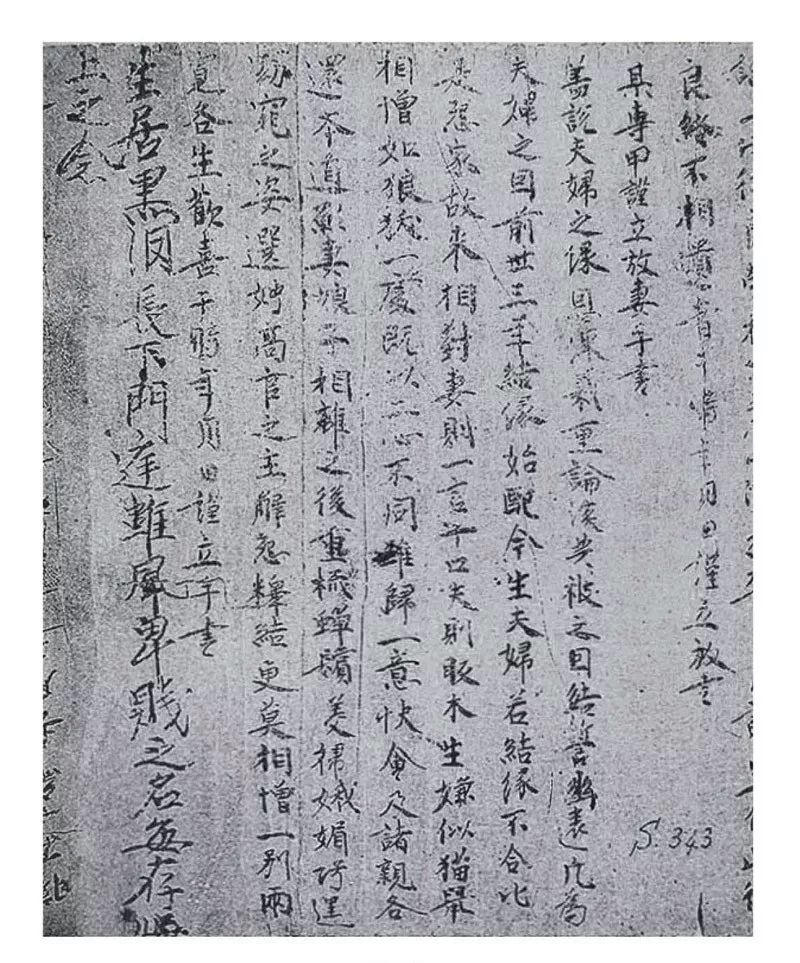 仙踪林视频入口欢迎您