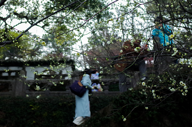 团子宝藏 团宝藏请补充更多信息