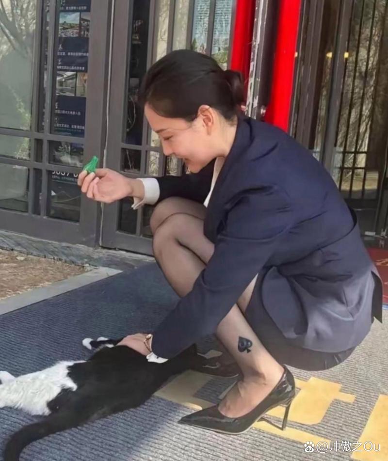 99视频有精品视频在线观看 你可以在有Wi-Fi时下好视频