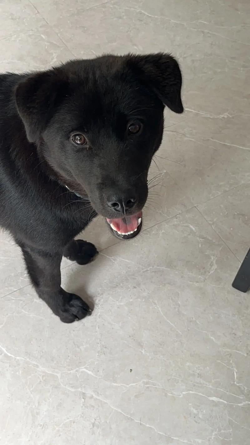 海角社区下载电脑版