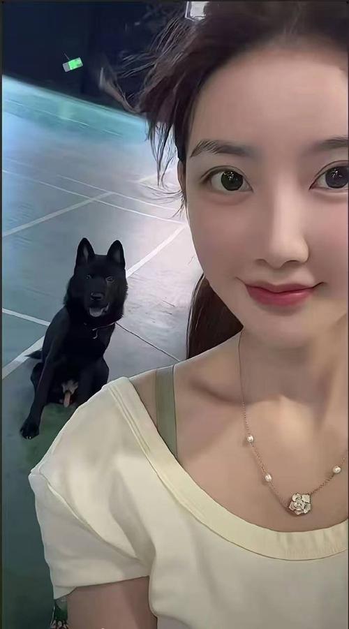 国语自产精品视频在线完整版 完整的视频观看渠道