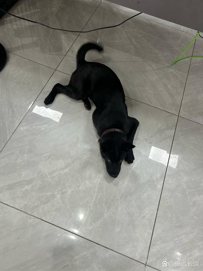 里昂动漫 昂动漫由于信息未更新