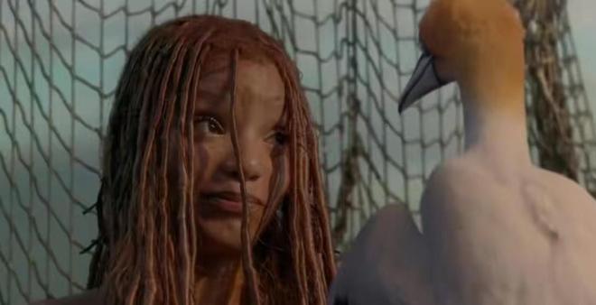 152影视 影视Bilibili（哔哩哔哩）