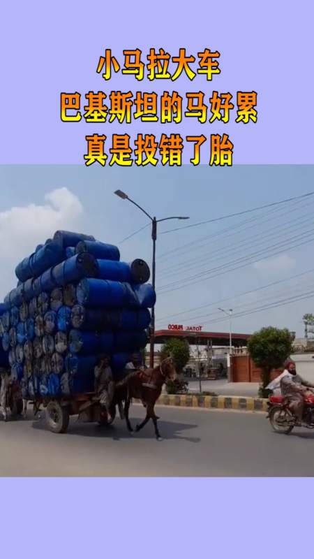 黑料网吃瓜官网 网吃网即可浏览大部分内容