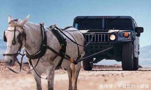 视频动漫3 视频动漫剧情开始展开了”