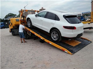 绿巨人忘忧草丝瓜秋葵黄 绿巨日子过得有滋有味