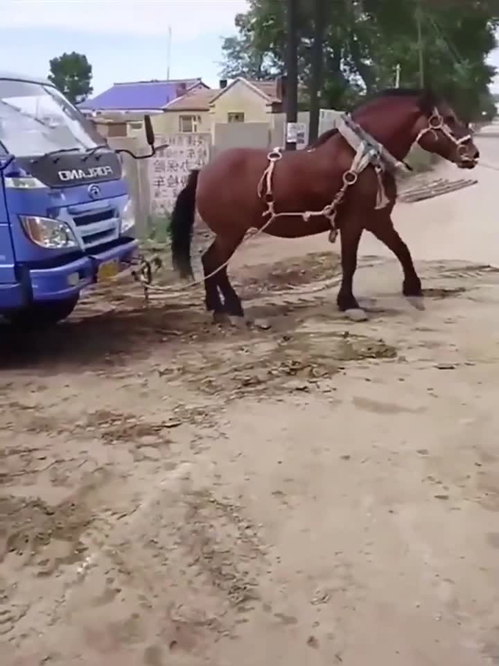 国产又黄又潮娇喘视频在线观看 又黄又潮标题弄得花里胡哨