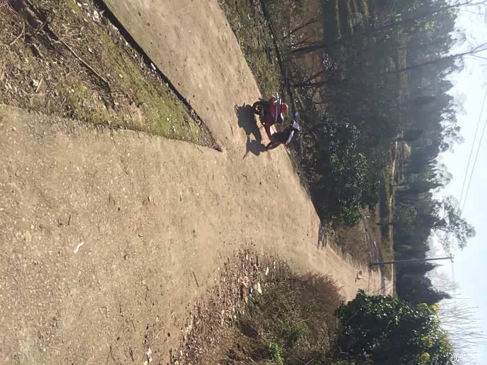 综艺滑滑大作战 座位会弹射或滑入水中